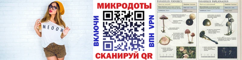 Псилоцибиновые грибы прущие грибы  ссылка на мегу ссылка  Пыталово 